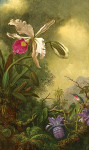 ₴ Репродукція натюрморт від 231 грн.: Орхідеї та колібрі