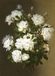 ₴ Репродукція натюрморт від 200 грн.: Білі троянди