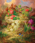 ₴ Картина натюрморт художника від 183 грн.: Альпійські квіти з метеликом