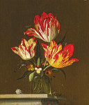 ₴ Репродукція натюрморт від 228 грн.: Квіти у вазі на виступі з черепашкою, ящіркою та комахами