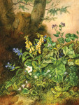 ₴ Репродукция натюрморт от 331 грн.: Лесные цветы
