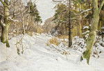 Пейзаж: Залитый солнцем лес под снегом