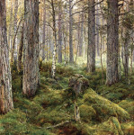₴ Картина пейзаж художника від 241 грн.: Березовий ліс