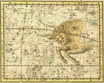₴ Стародавні карти високої роздільної здатності від 253 грн.: Небесний атлас, сузір'я Телець
