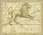 ₴ Стародавні карти високої роздільної здатності від 253 грн.: Небесний атлас, сузір'я Лев