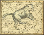 ₴ Стародавні карти високої роздільної здатності від 253 грн.: Небесний атлас, сузір'я Велика Ведмедиця