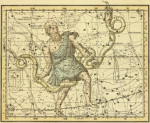 ₴ Древние карты высокого разрешения от 259 грн.: Небесный атлас, созвездия Змееносец, Змеи