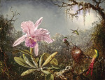 ₴ Репродукція квітковий натюрморт від 306 грн.: Орхідея Каттлеї та три колібрі