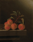 ₴ Купити натюрморт відомого художника від 209 грн.: Натюрморт з п'ятьма абрикосами