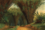₴ Репродукція краєвид від 217 грн.: Бамбукова арка