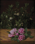 ₴ Репродукція натюрморт від 318 грн.: Троянди та мирти