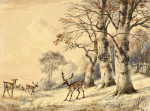 ₴ Репродукция пейзаж от 235 грн.: Олень под буковыми деревьями зимой
