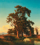 ₴ Картина пейзаж художника від 218 грн: Величне дерево в вечірньому світлі