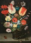 ₴ Репродукція квітковий натюрморт від 260 грн.: Скляна ваза з букетом квітів, хруща, равлики і дрібні комахи