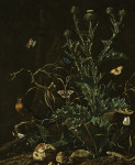 ₴ Репродукция натюрморт от 405 грн.: Чертополох, бабочки и ящерица