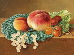 ₴ Репродукція натюрморт від 355 грн.: Натюрморт з капустяним листом, персиками, аґрусом та смородиною