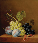 ₴ Репродукция натюрморт от 328 грн.: Виноград, сливы, малина, цветы и желуди на деревянном выступе