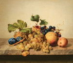₴ Репродукція натюрморт від 399 грн.: Натюрморт з виноградом, сливами та персиками