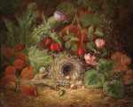 ₴ Репродукція натюрморт від 300 грн.: Натюрморт із пташиним гніздом цикламен квіти будяків і шипшини