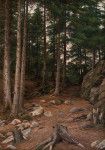 ₴ Репродукция пейзаж от 270 грн.: Закат в лесу