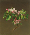 ₴ Репродукція квітковий натюрморт від 356 грн.: Яблуневий цвіт