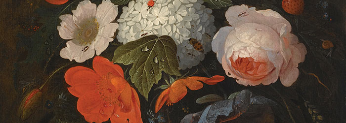 ₴ Репродукція натюрморт від 373 грн.: Гірлянда з квітів та фруктів, у тому числі рожева троянда, мак, сніжок, агрус та фрези де буа, а також різні комахи - Міньйон Авраам