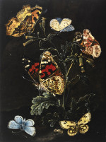 ₴ Репродукція натюрморт від 288 грн.: Лісовий натюрморт з метеликами