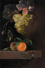 ₴ Репродукция натюрморт "Натюрморт с фруктами, ящерицей и насекомыми"