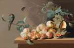 ₴ Репродукция натюрморт "Фрукты на столешнице с попугаем"