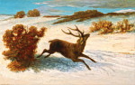 ₴ Репродукция пейзаж от 350 грн.: Олень бегущий по снегу