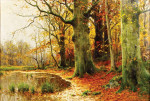 Пейзаж: Лесной пруд осенью