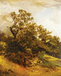 Купить от 118 грн. картину пейзаж: Деревья на склоне холма