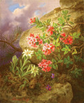 ₴ Картина натюрморт художника от 237 грн.: Альпийские цветы