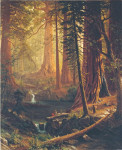 ₴ Репродукция пейзаж от 237 грн.: Гигантские деревья красного дерева Калифорнии