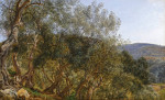 ₴ Репродукция пейзаж от 199 грн.: Оливковые деревья возле Тиволи