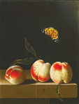₴ Репродукция натюрморт от 252 грн.: Три персика на каменном выступе, бабочка адмирал