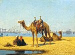 ₴ Репродукция пейзаж от 309 грн.: Верблюды возле Нила