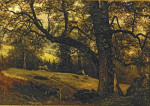 ₴ Репродукция пейзаж от 229 грн.: Тропинка через деревья