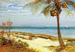 ₴ Картина морской пейзаж художника от 172 грн.: Тропическое побережье