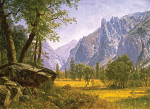 ₴ Репродукція пейзаж від 235 грн.: Долина Йосиміті