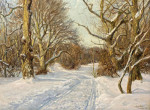 Пейзаж: Зима в Ермлюнде