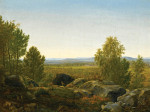 ₴ Репродукция пейзаж от 241 грн.: Обширный скалистый пейзаж с оленями