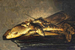 ₴ Репродукция картины натюрморт от 166 грн.: Натюрморт с рыбой