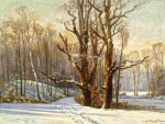 Пейзаж: Зимний лес