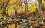 ₴ Репродукция пейзаж от 205 грн.: Осенний день в лесу