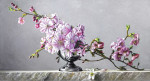 ₴ Репродукция натюрморт от 181 грн.: Счастливая весна