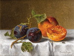 ₴ Репродукция картины натюрморт от 184 грн.: Сливы и абрикосы