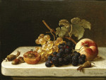 ₴ Репродукция натюрморт от 317 грн.: Виноград, желуди, абрикос и персик на выступе с мухой