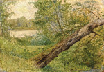 Пейзаж: Дерево возле озера