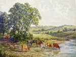 Пейзаж: Коровы на реке
